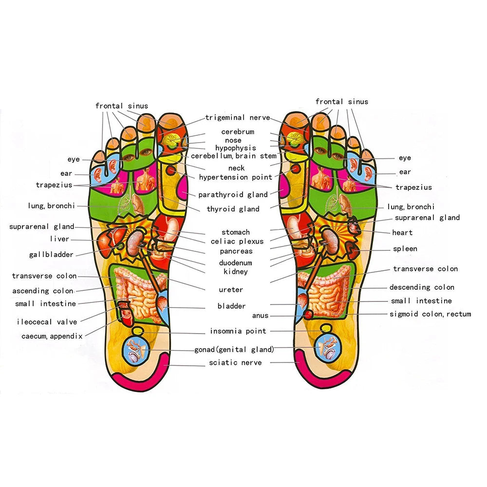 Wooden Foot Roller Care Massage Reflexology Relaxation